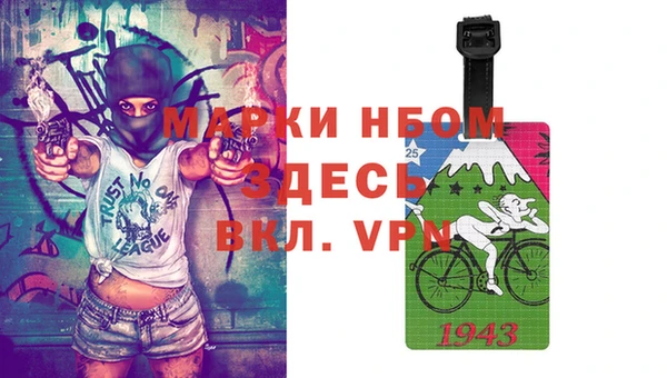 мдпв Мамадыш